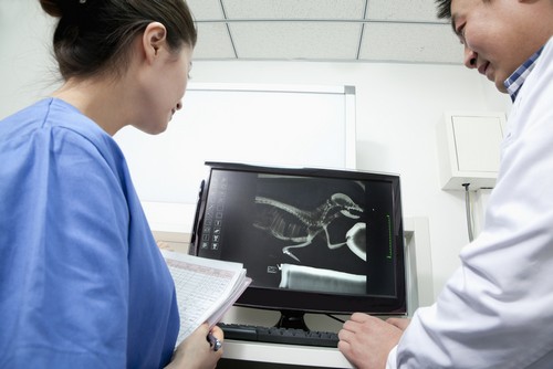 Advanced Digital X-rays Thibodaux, LA,