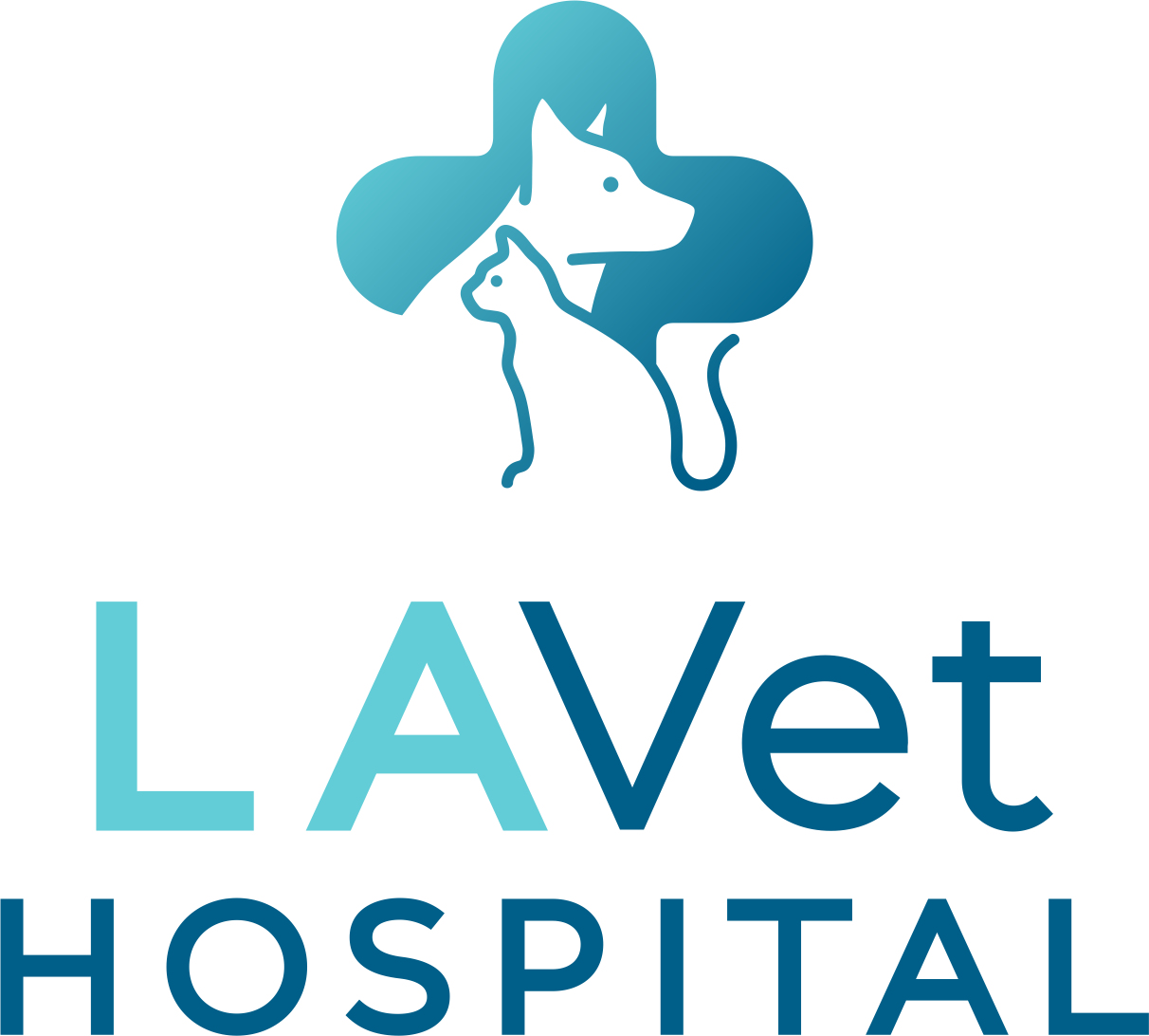 LAVet Hospital
